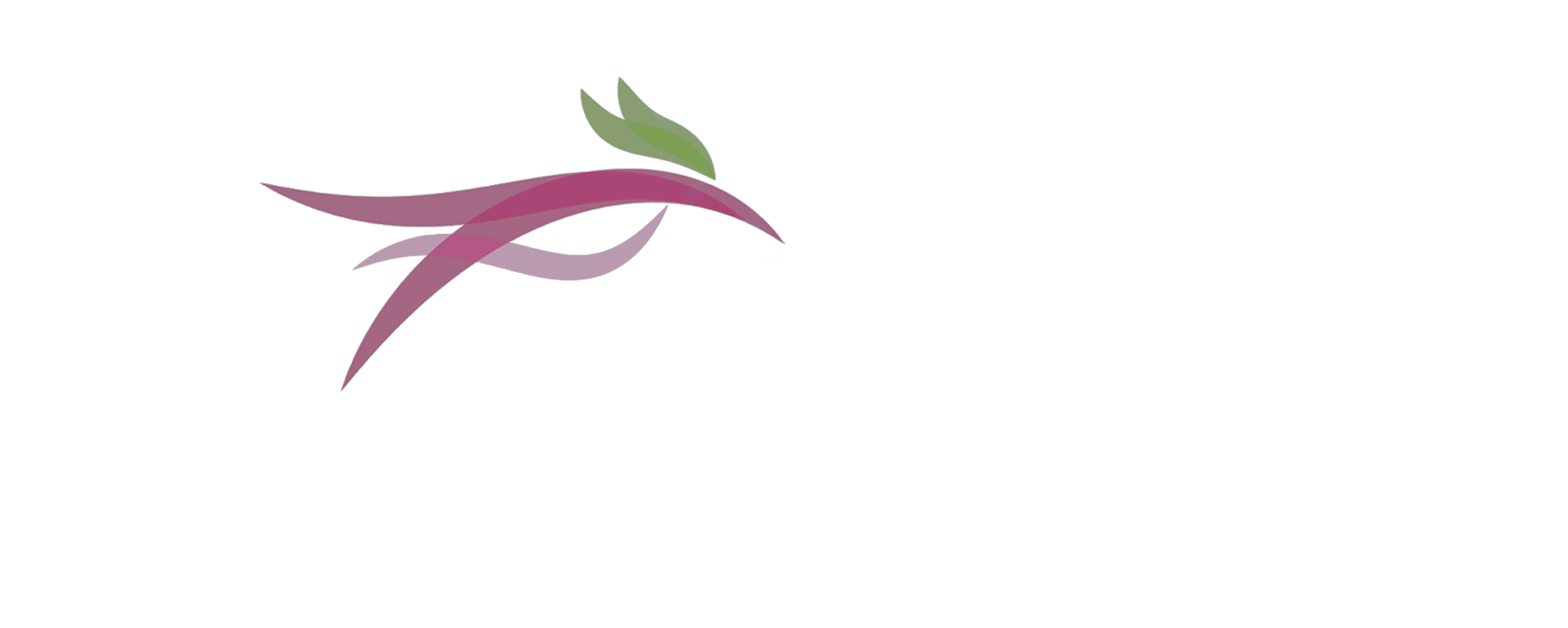 abphotography.in